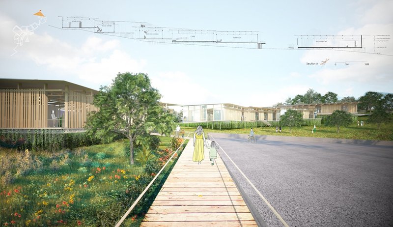 Healing Trees: Sustainable Architecture Reconnecting Humans, Koalas, and Nature
