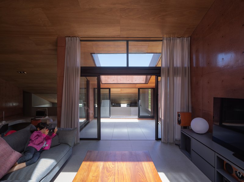 View through glazed doors to an interior courtyard with skylights and plywood-lined ceiling