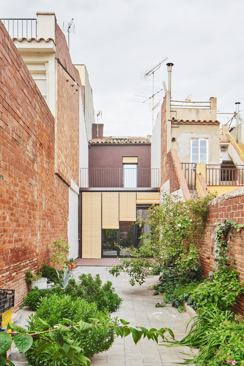Garden courtyard with paving and dense plantings leading to the timber-clad rear extension