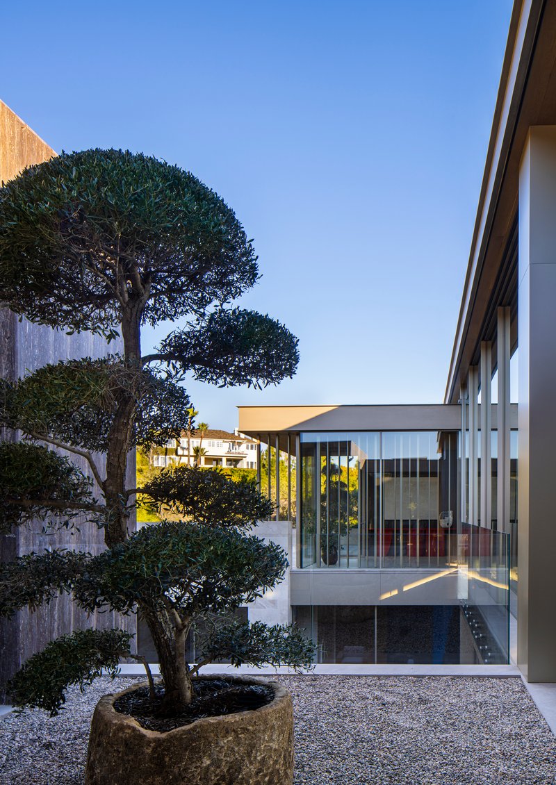 Gravel courtyard with potted tree and glazed bridge connecting two volumes at twilight