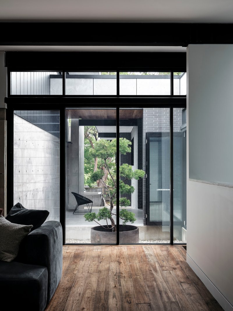 Floor-to-ceiling glazing framing an internal courtyard with a single potted tree and concrete planter