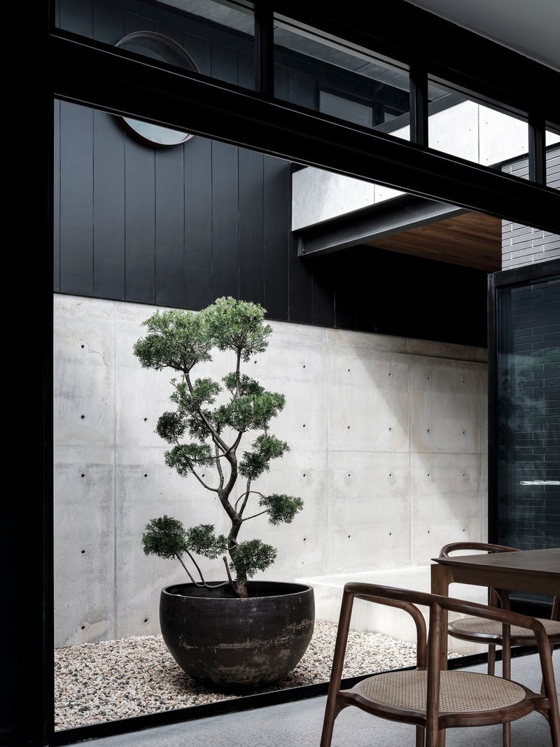 Internal courtyard with bonsai tree in black planter against board-formed concrete wall