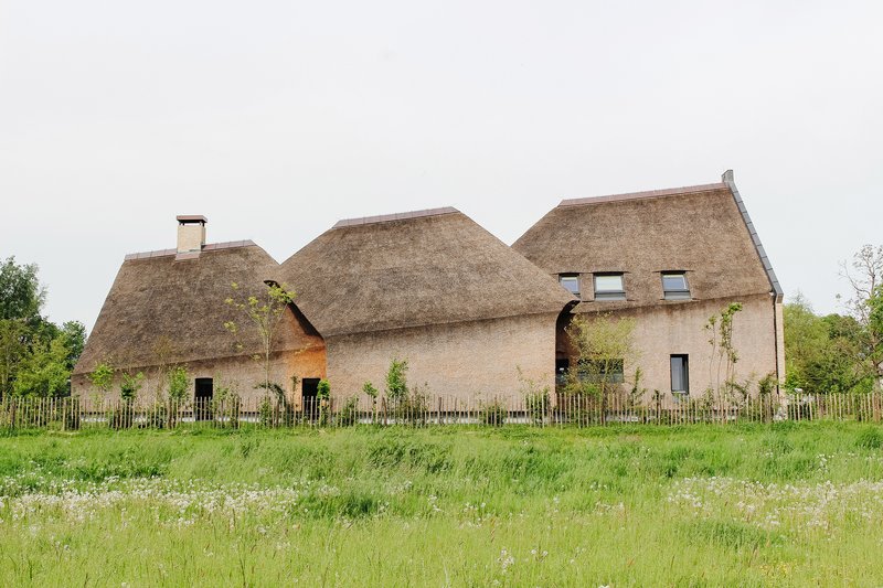 Thatched roof volumes seen across a wildflower meadow with wooden fence and young saplings