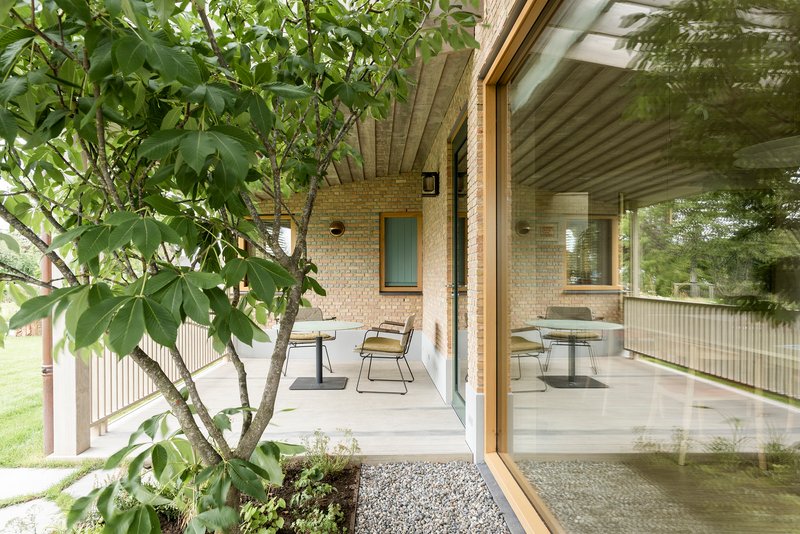 Covered terrace with exposed timber ceiling beams and planted tree beside outdoor seating area