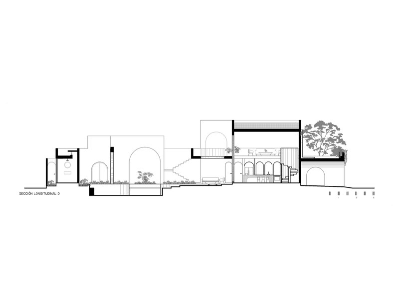 Longitudinal section drawing showing split-level arrangement with staircase and planted terraces under flat roof