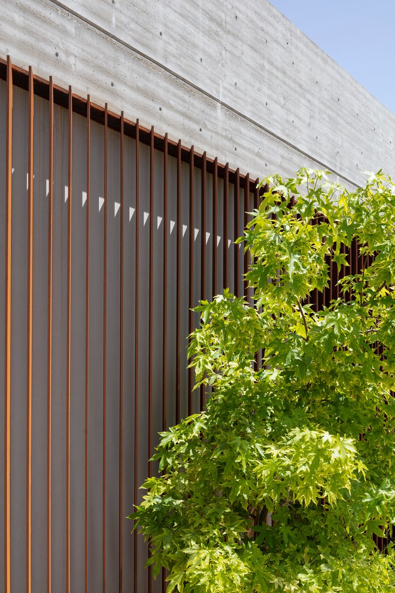 Vertical timber slat screen beneath a concrete lintel partially concealed by foliage