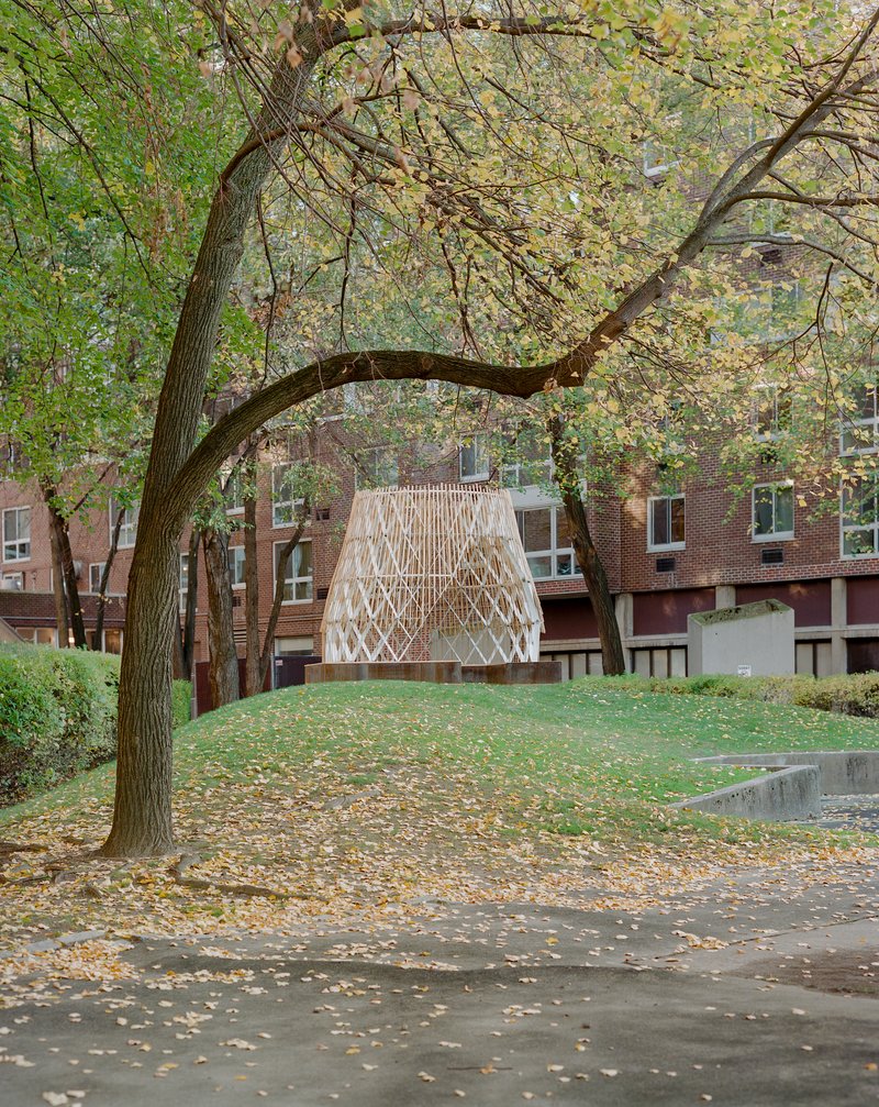 Distant view of the timber dome beneath a curved tree limb with fallen leaves on the pavement