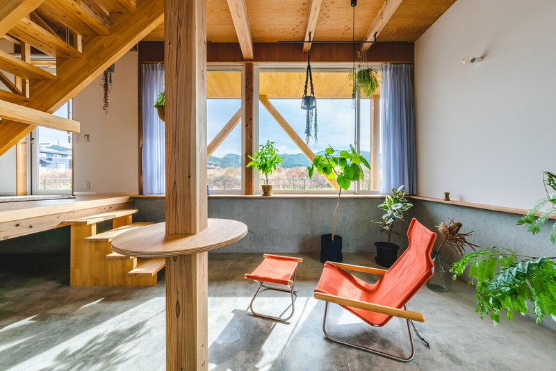 Living area with exposed timber frame and concrete floor populated by potted plants and afternoon sunlight