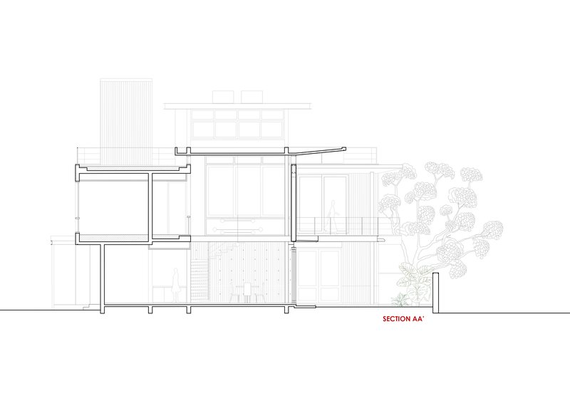 Section drawing revealing split-level interiors with vertical circulation and adjacent trees