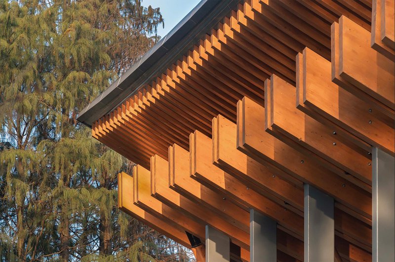 Detail of cantilevered timber beam assembly with stepped soffit and steel columns beneath