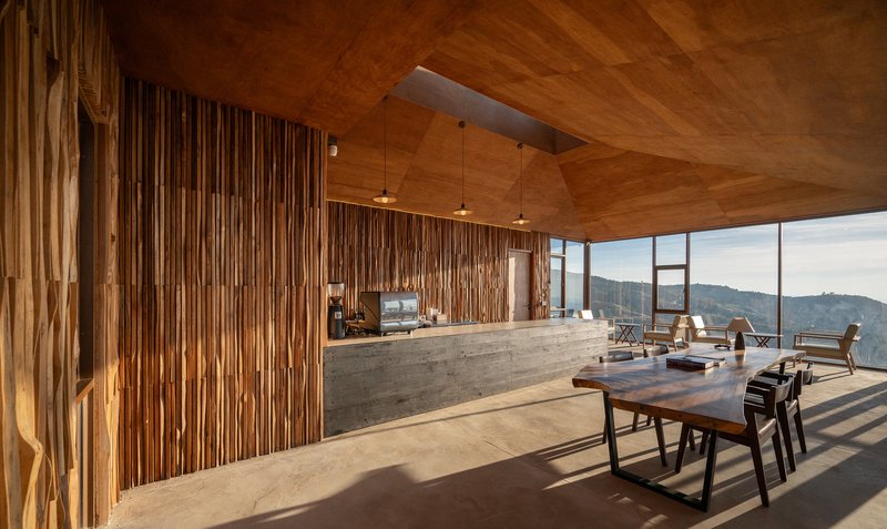 Open-plan interior with vertical timber slat wall and diagonal wood ceiling panels catching afternoon light