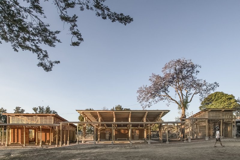 Timber-framed structures with open verandas beneath a large tree in late afternoon light