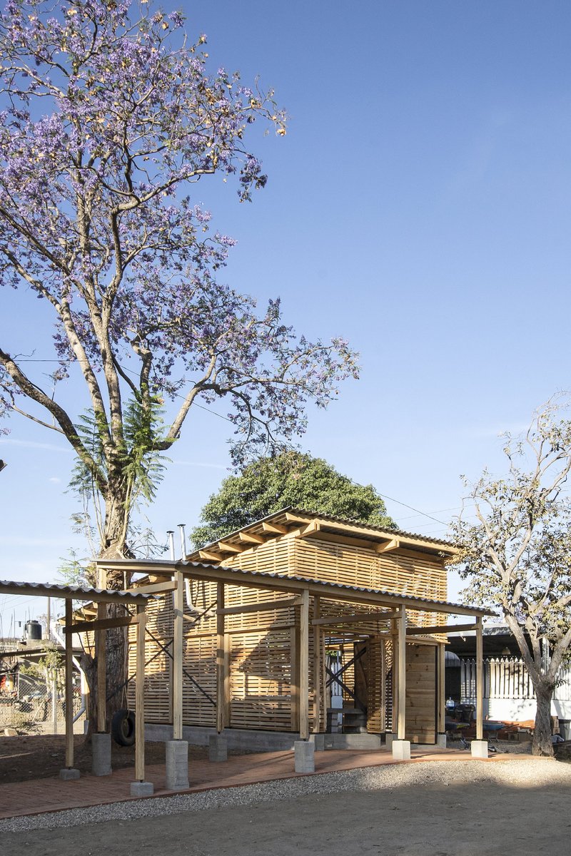 Timber pavilion with diagonal bracing and horizontal louvers on concrete plinths beside a flowering tree