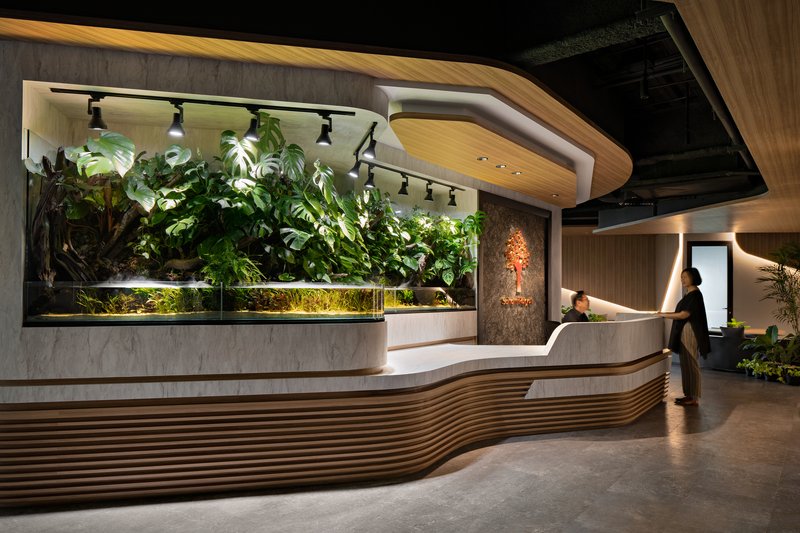 Reception desk with living green wall and track lighting as a figure approaches the counter