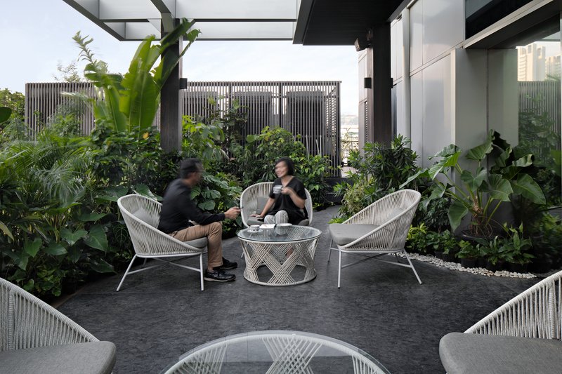 Outdoor terrace with wire frame seating surrounded by dense tropical planting and slatted screening