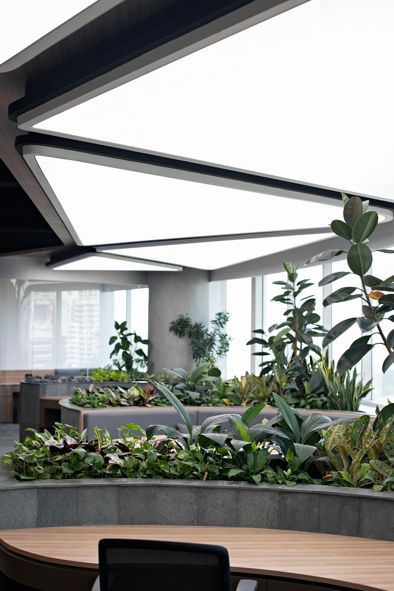 Close-up of concrete planter boxes filled with tropical foliage beneath angular ceiling light fixtures