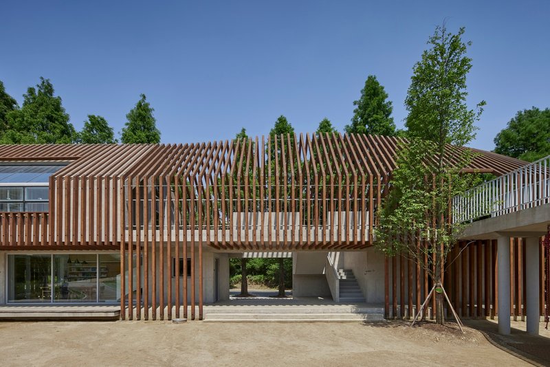 Central courtyard with densely spaced vertical timber columns framing a passage between planted areas