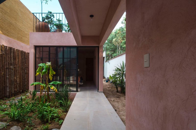 Concrete path leading to a black-framed glass door through a garden courtyard with banana plants