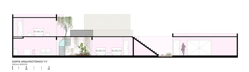 Section drawing showing split-level volumes with central courtyard, brick wall and planted greenery between spaces