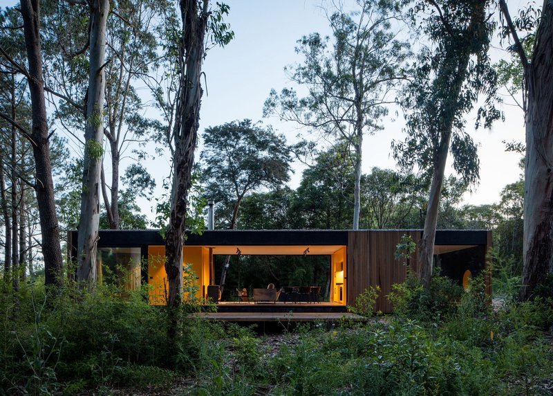 Low-profile residence with timber cladding and glazed openings nestled among tall eucalyptus trees at twilight