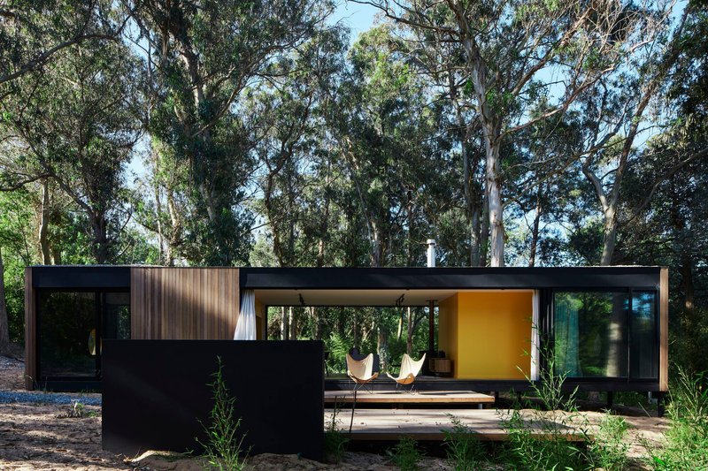 Deck terrace with freestanding black wall extending from the glazed living pavilion into the woodland clearing
