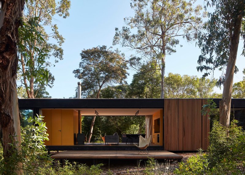 Timber and steel pavilion with a central glazed opening framed by eucalyptus trees