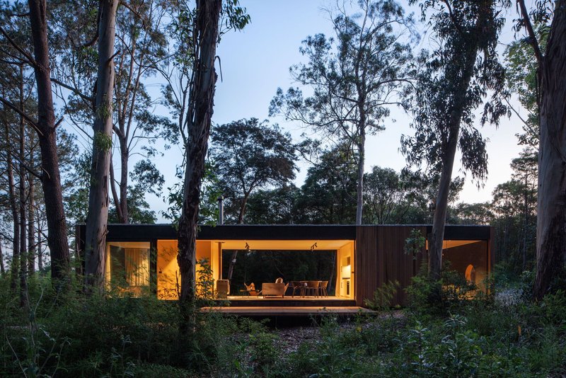 Front facade showing the open-plan interior glowing behind floor-to-ceiling glass in the forest