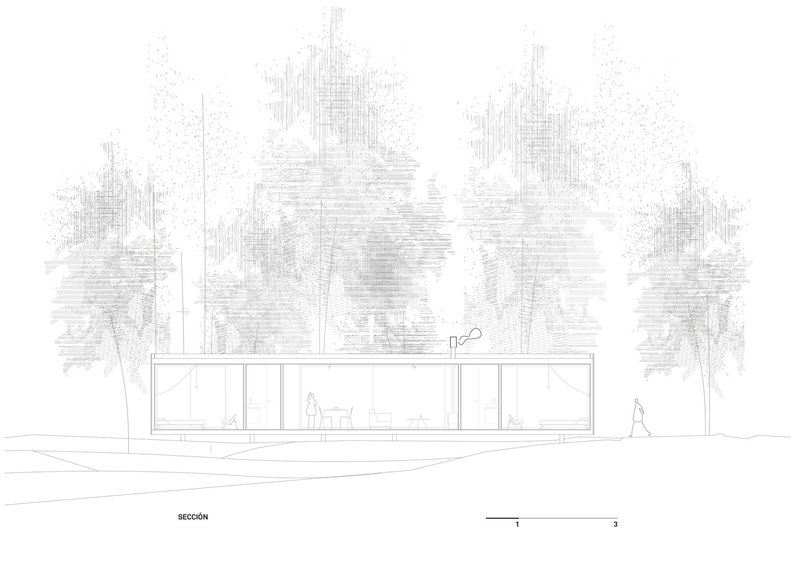 Section drawing illustrating the single-story volume beneath the tree canopy with a figure outside