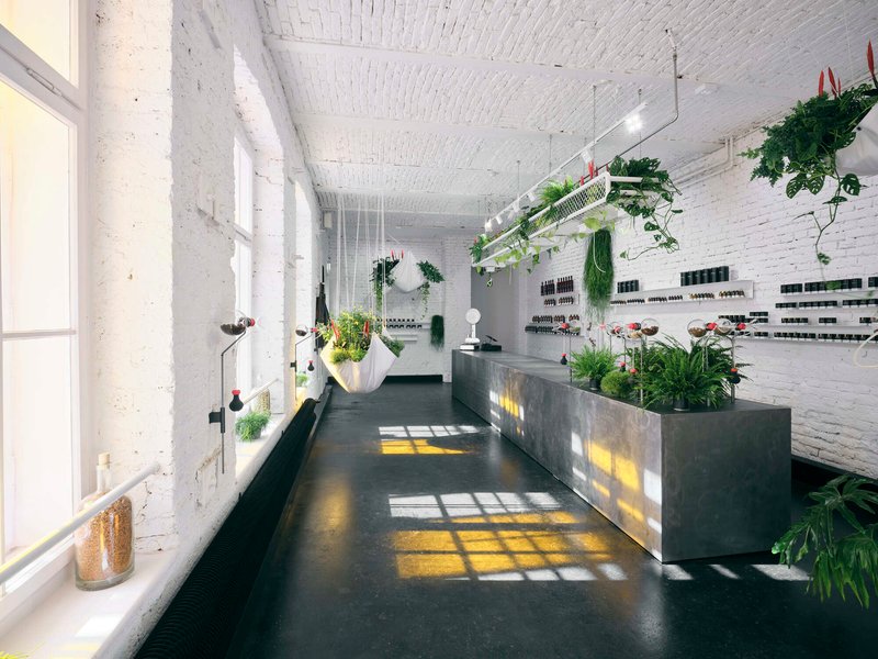 Interior retail space with painted white brick walls, concrete counter, and hanging planters lit by window light