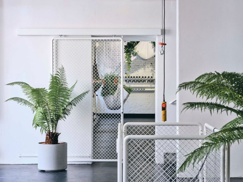 White mesh sliding door with potted ferns on dark flooring opening to adjacent room