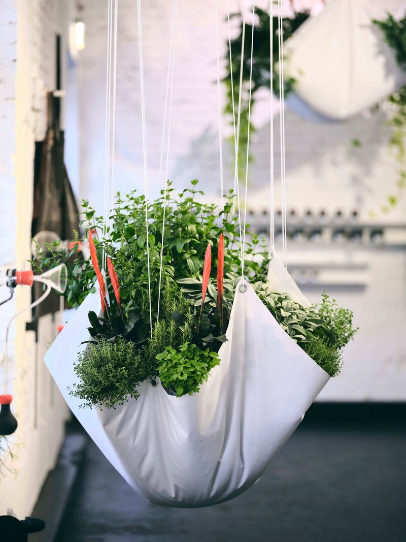Close-up of suspended white fabric planter with herbs and carrots hanging from cable system