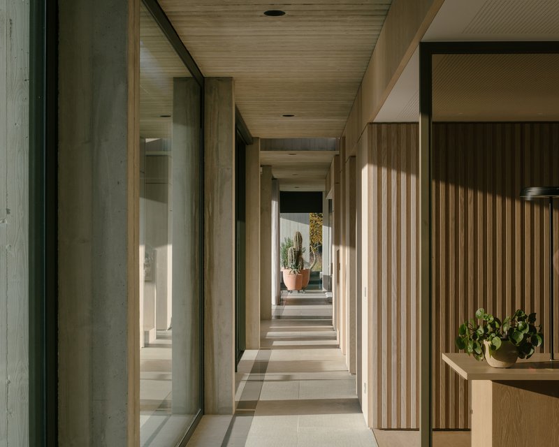 Corridor with vertical timber slat screens and glazed walls looking onto planted courtyards