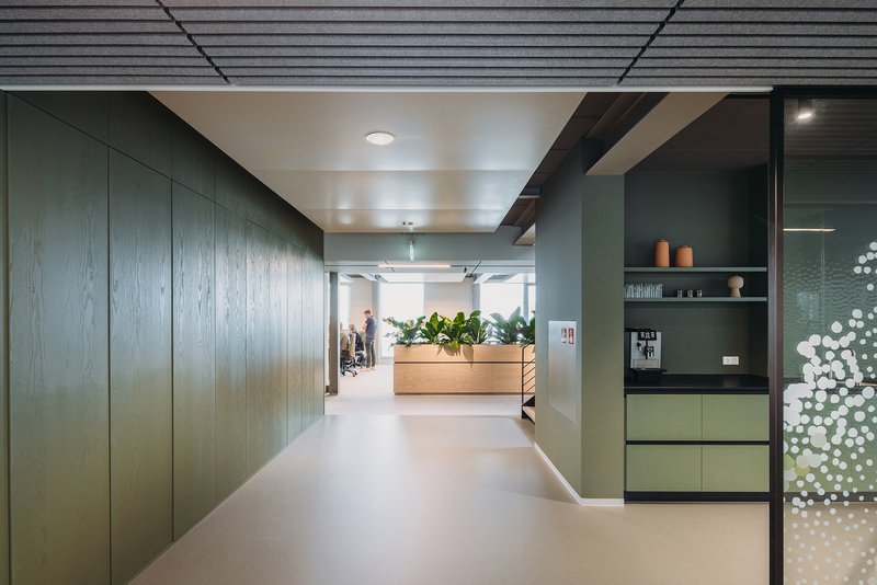 Corridor lined with vertical timber wall panels leading toward a planted timber box under white ceiling coffers
