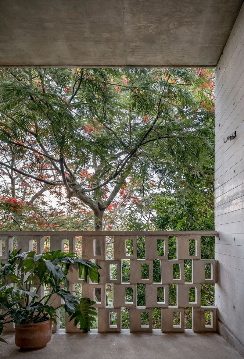 Open terrace with precast lattice screen and potted plants framing view of flowering tree canopy