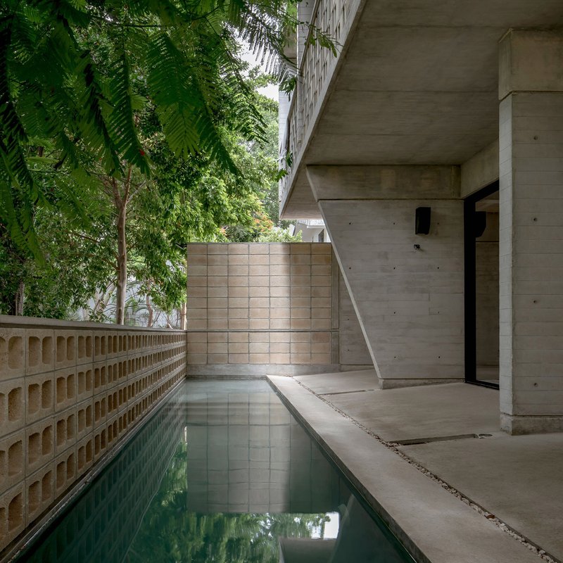 Narrow lap pool flanked by perforated brick wall and cast concrete terrace under lush tree canopy