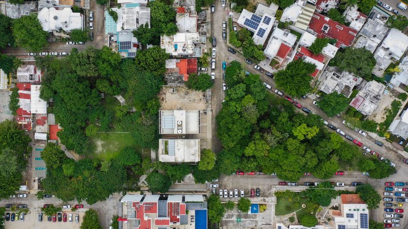 Aerial view of residential rooftops with varied colors nestled among dense tree canopy and street