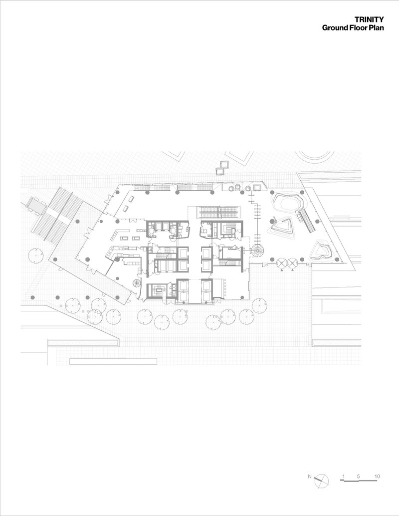 Ground floor plan drawing with room layouts and surrounding trees indicated by circular symbols