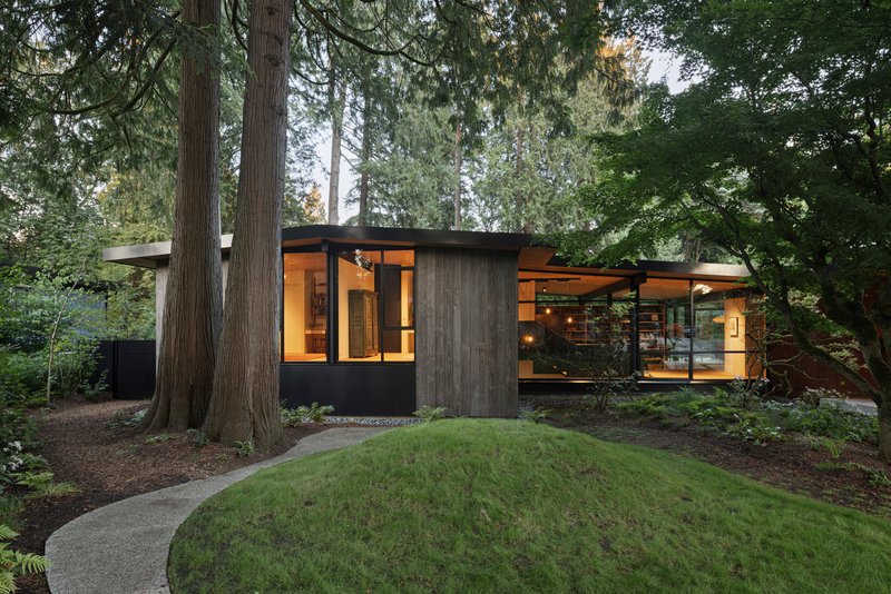 Weathered wood and black-clad pavilion nestled among towering conifers at dusk