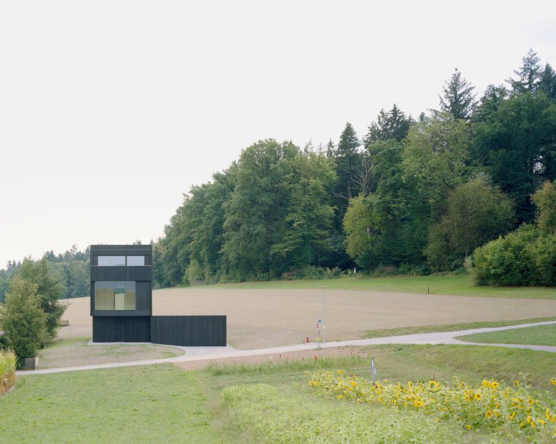 Dark timber tower structure with yellow wildflowers in foreground and rolling fields beyond
