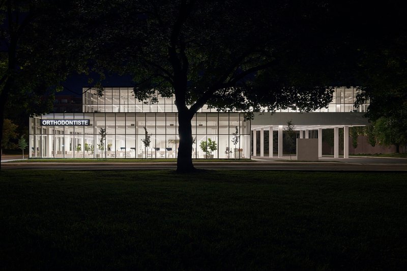 Street-facing elevation of the illuminated glass facade framed by mature trees at night