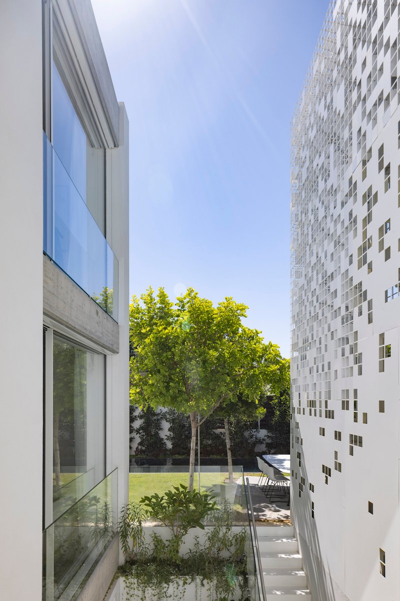 Courtyard view between white volumes showing planted beds and a deciduous tree under clear blue sky
