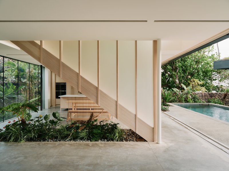Timber slat screen beside an internal planted bed with staircase casting shadows on white walls