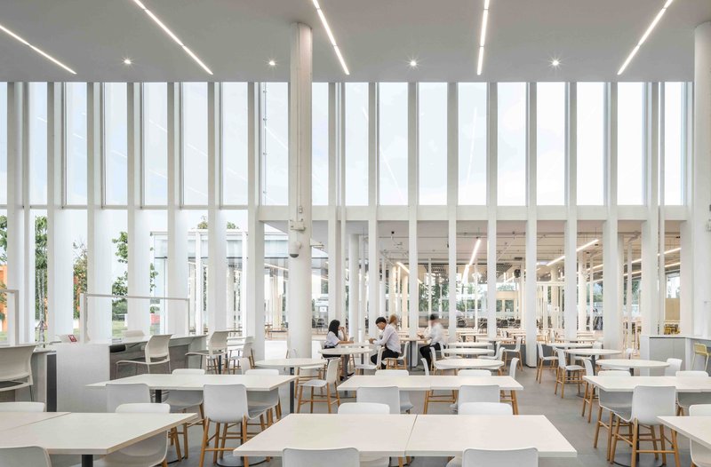 Interior dining hall with vertical white mullions filtering daylight and two students seated at tables