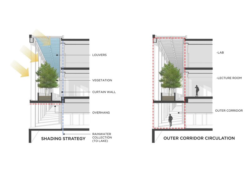 Building section drawings illustrating vertical circulation through multilevel corridors with planted trees and louvers