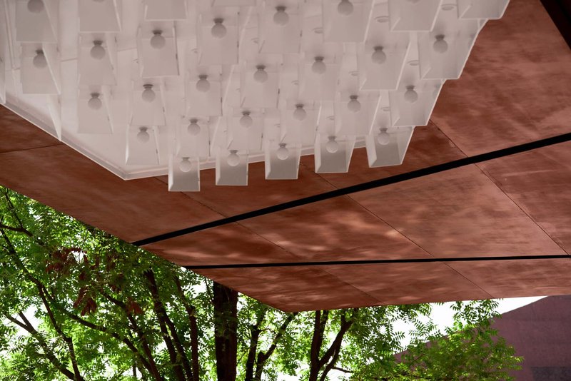 Detail of timber roof soffit meeting white modular ceiling grid beside tree branches