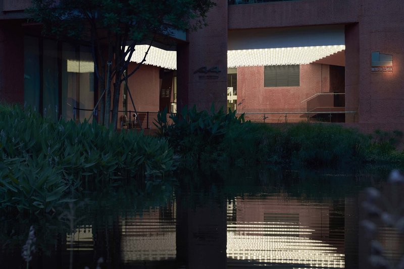 Evening view of illuminated interior volumes reflected in pond with lush foreground vegetation