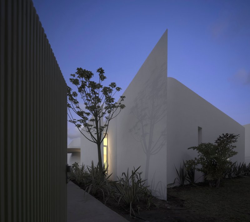 Courtyard view with ribbed wall panel, papaya tree and white volume at dusk