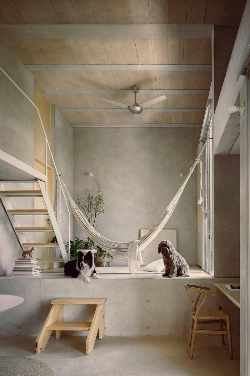 Double-height space with white hammock stretched between concrete walls, two dogs resting on the polished floor below