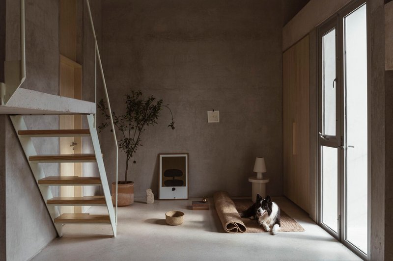 Double-height interior with concrete staircase, plywood shelving, and a cat resting in afternoon sunlight
