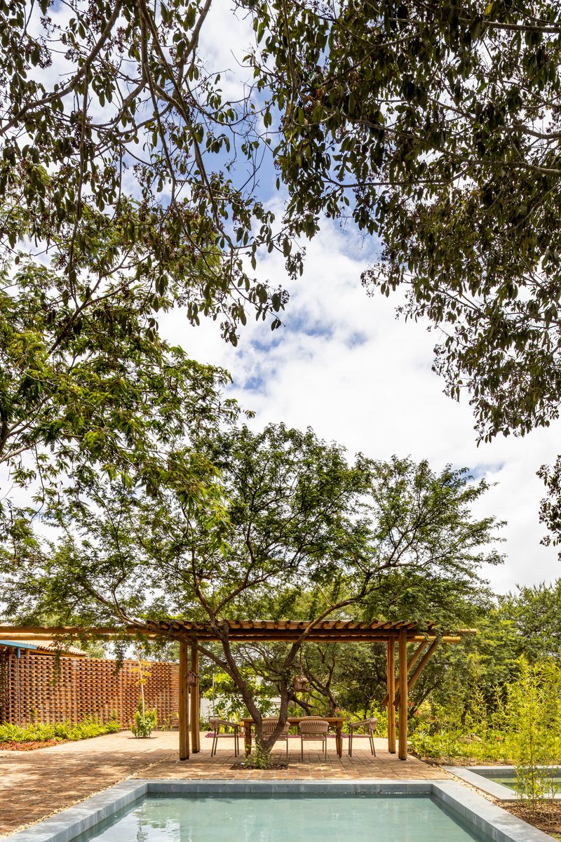 Timber pergola framing a preserved tree above a brick paver terrace beside a pool
